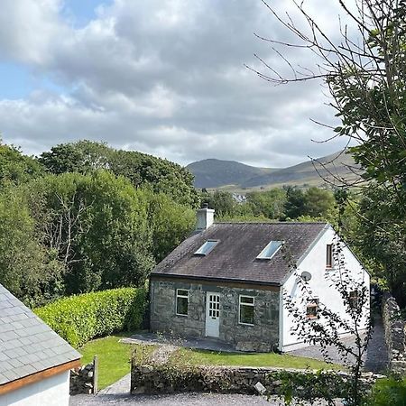 Bryn Rhedyn Cottage Cwm-y-glo Buitenkant foto