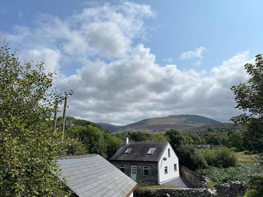 Bryn Rhedyn Cottage Cwm-y-glo Buitenkant foto