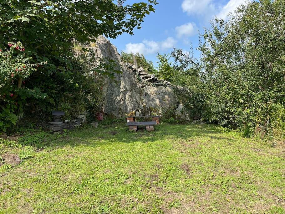 Bryn Rhedyn Cottage Cwm-y-glo Buitenkant foto